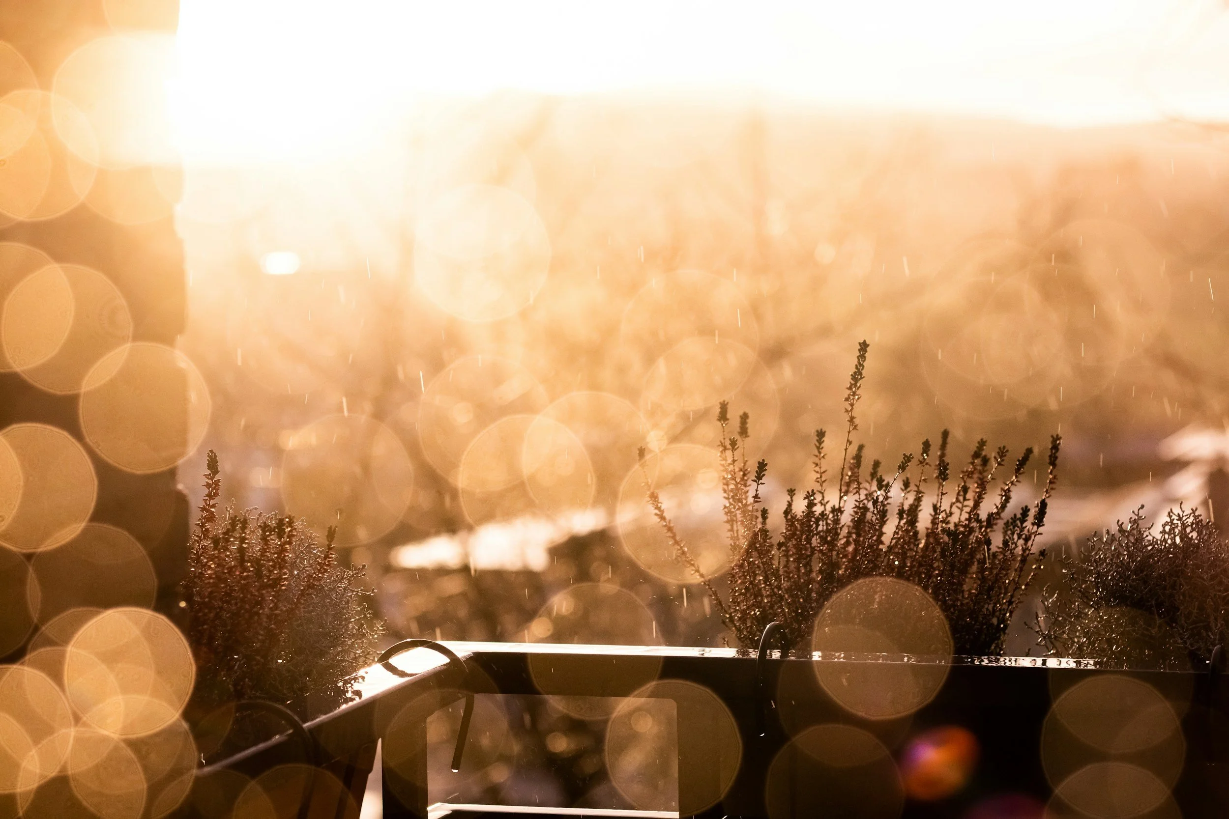 Was ist eine Utopie? – Prolog