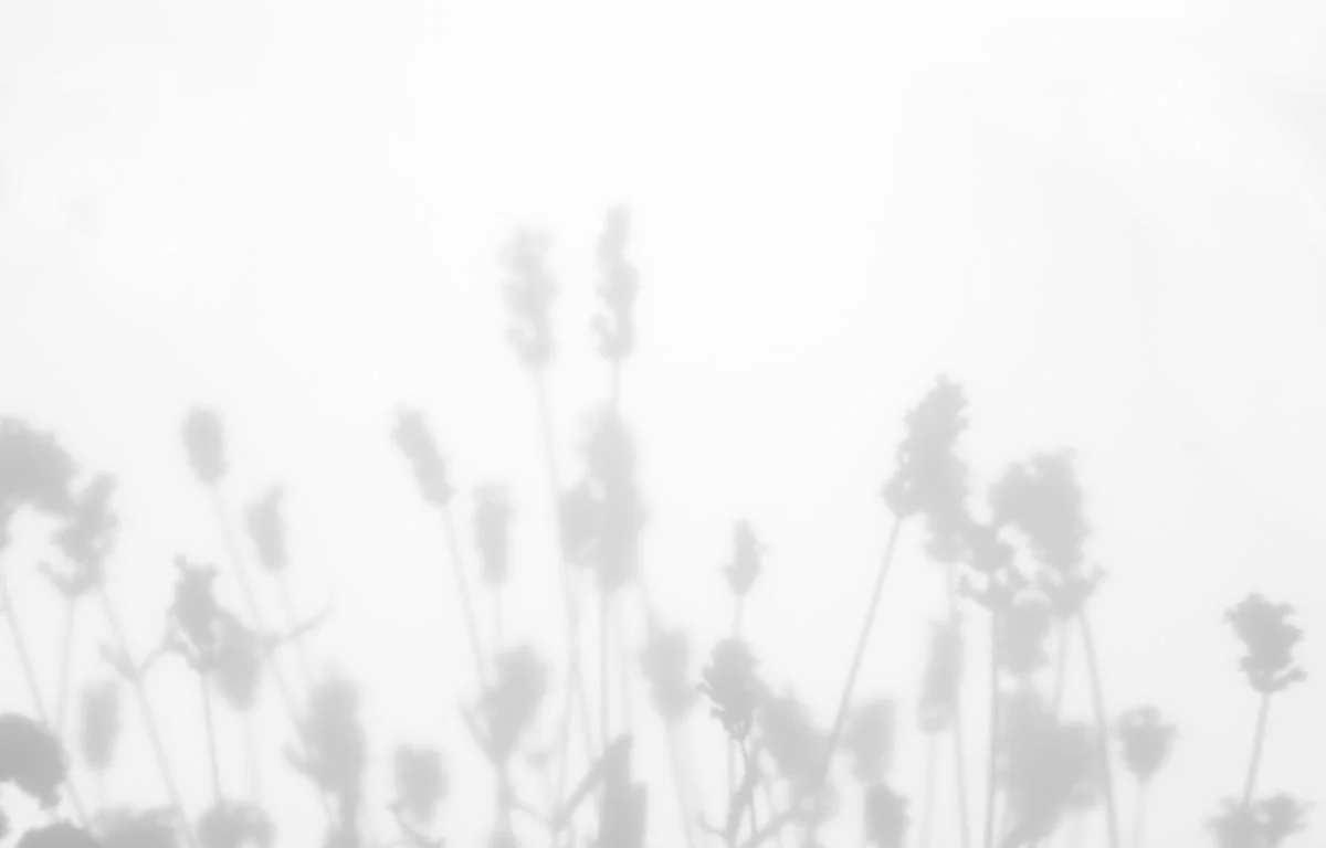 Die Phänomenologische Perspektive Philosophie & Psychologie