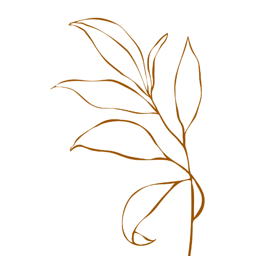 Illustration einer linearen, braunen Pflanzenzeichnung mit mehreren Blättern auf weißem Hintergrund.