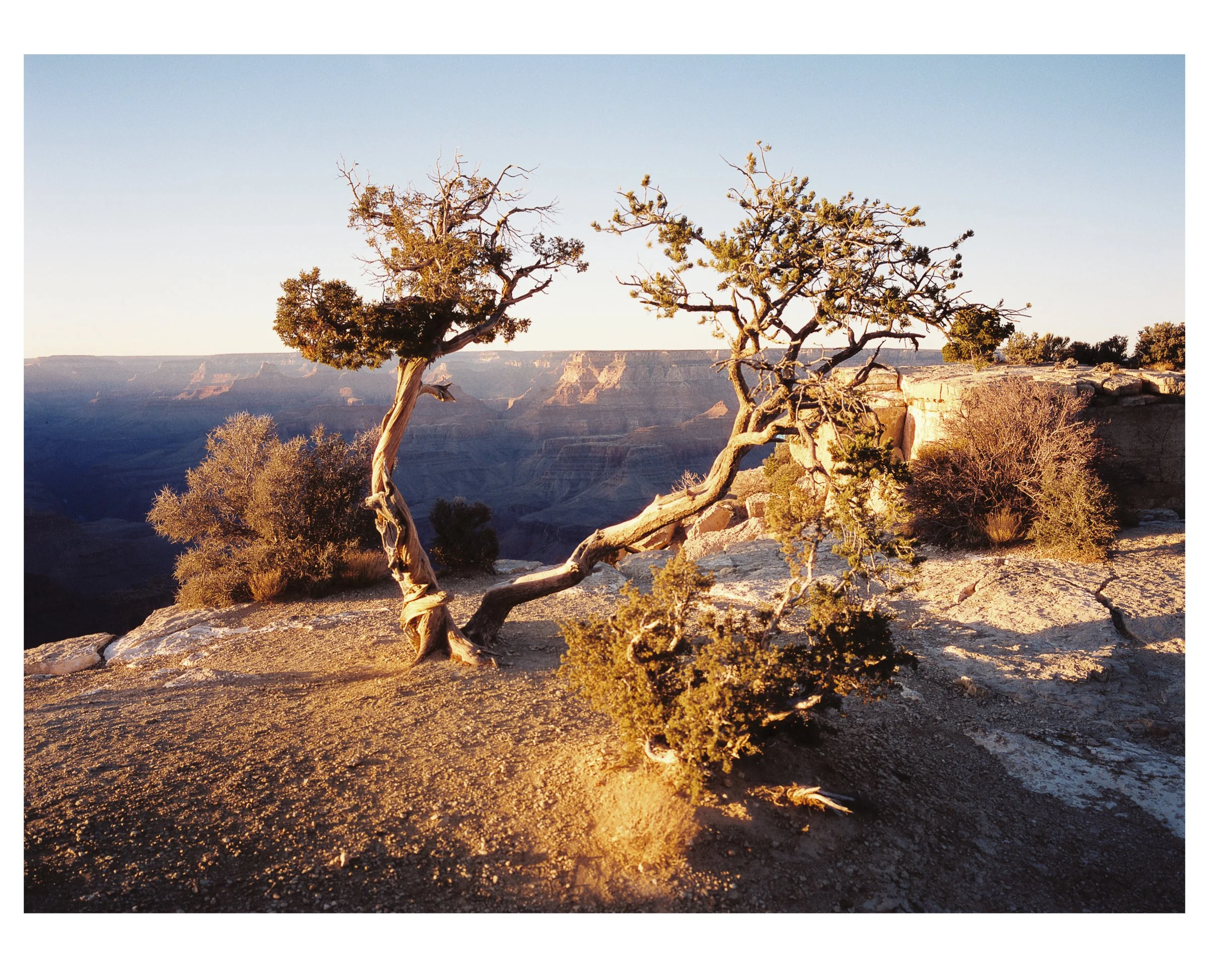 Grand Canyon - 16/25