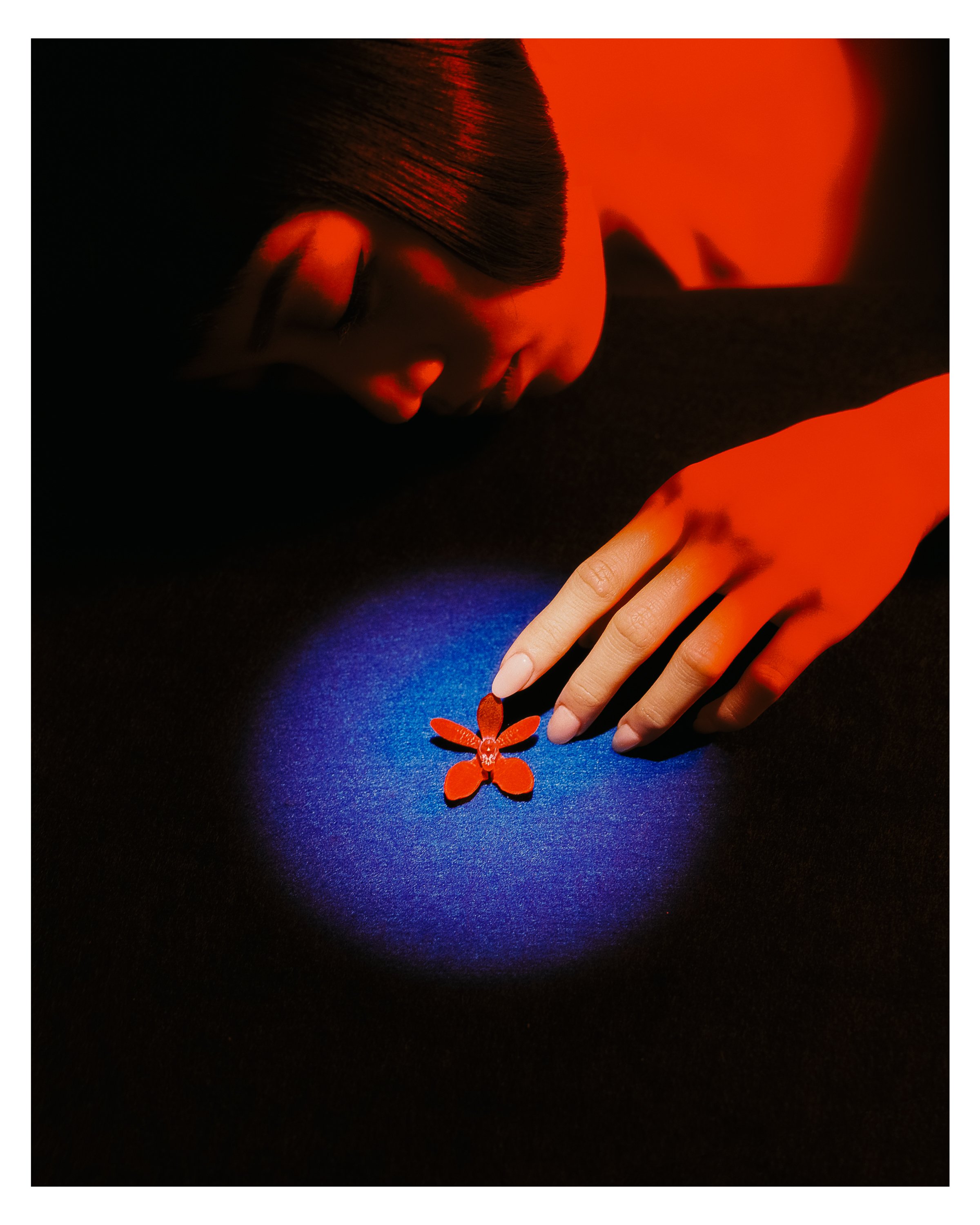 The Flower II - 9/25