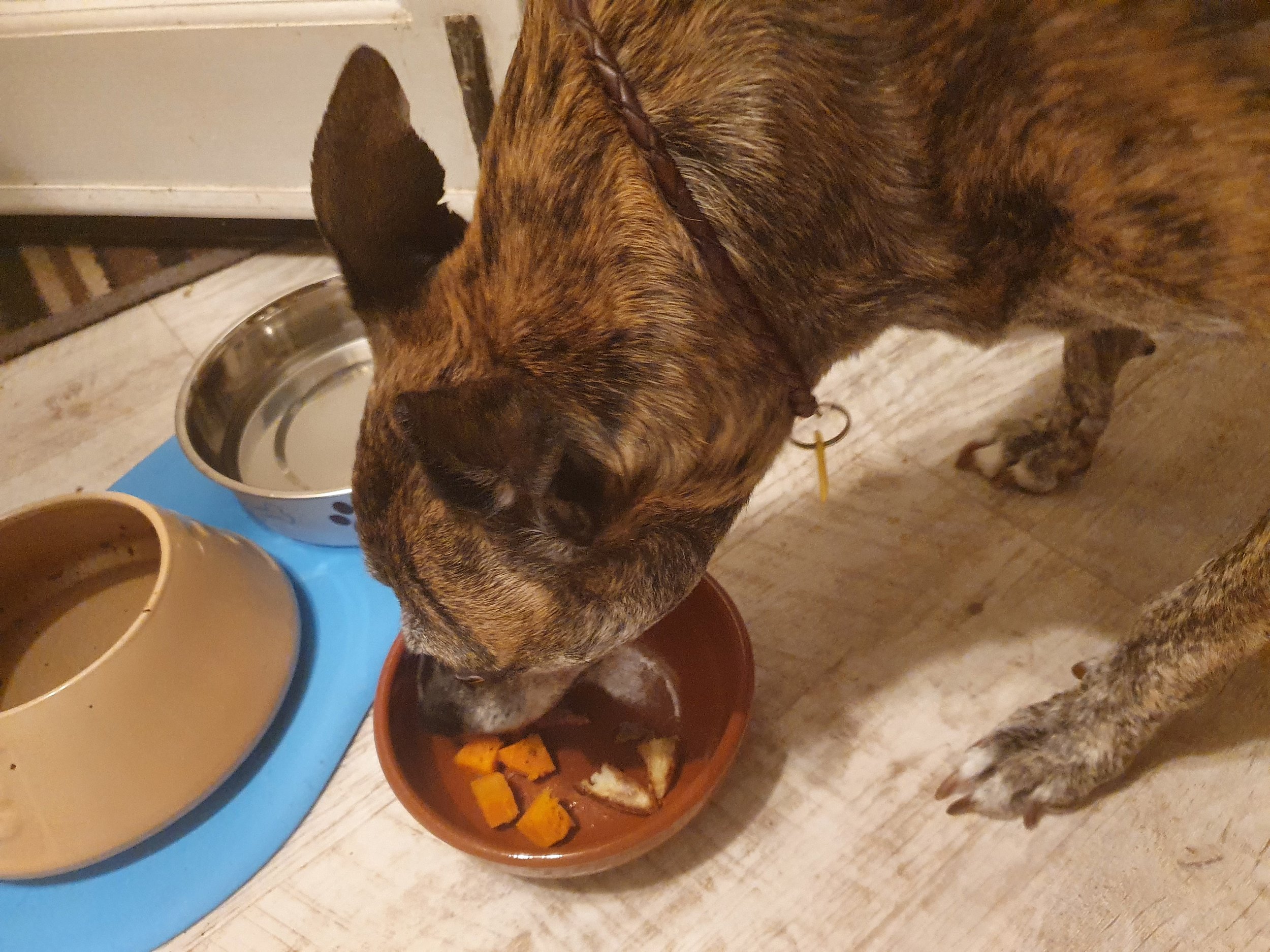 The soon-to-be-prisoner ate a hearty supper