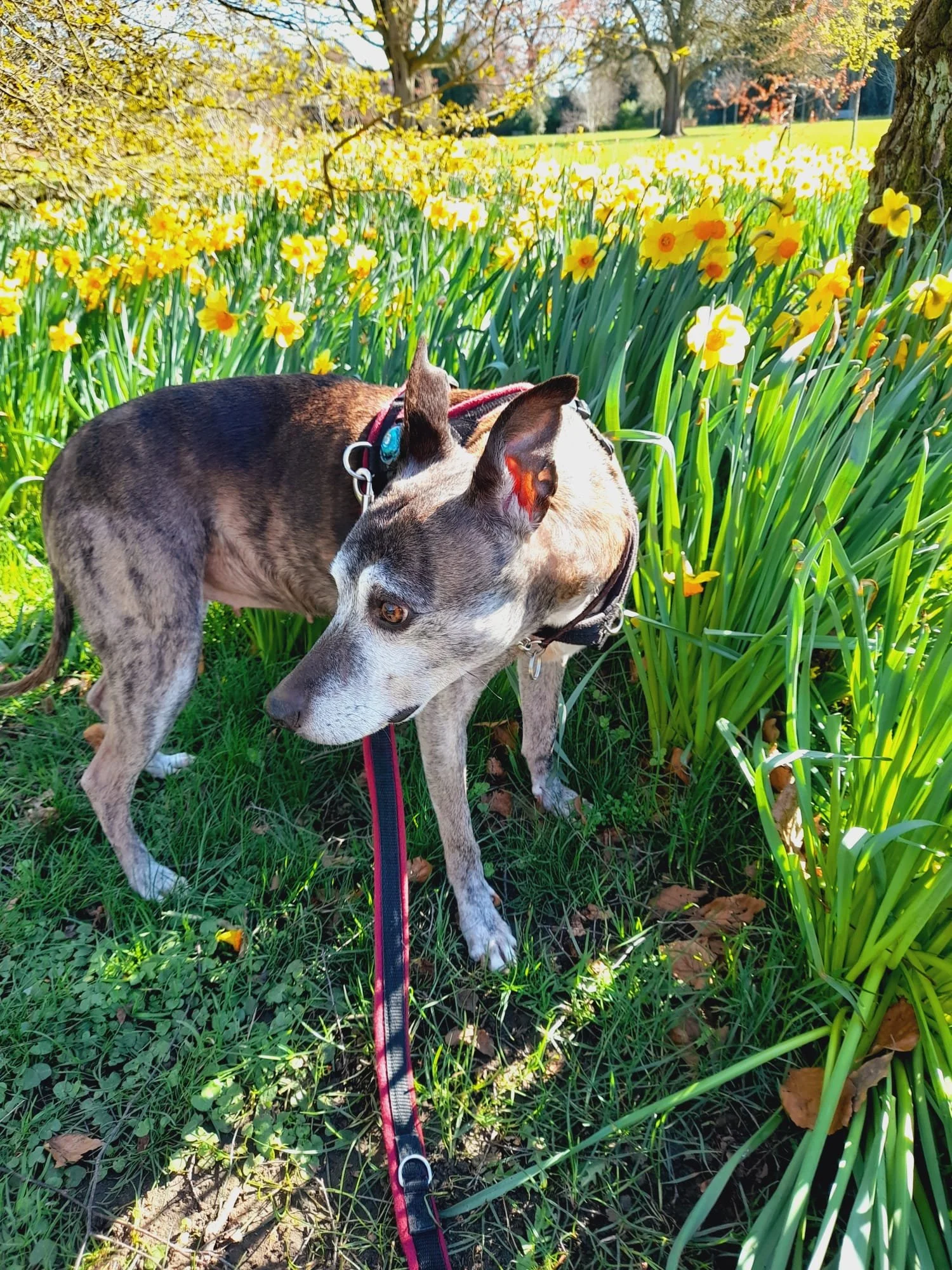 WhatsApp Image 2026-04-19 at 19.40.55.jpeg