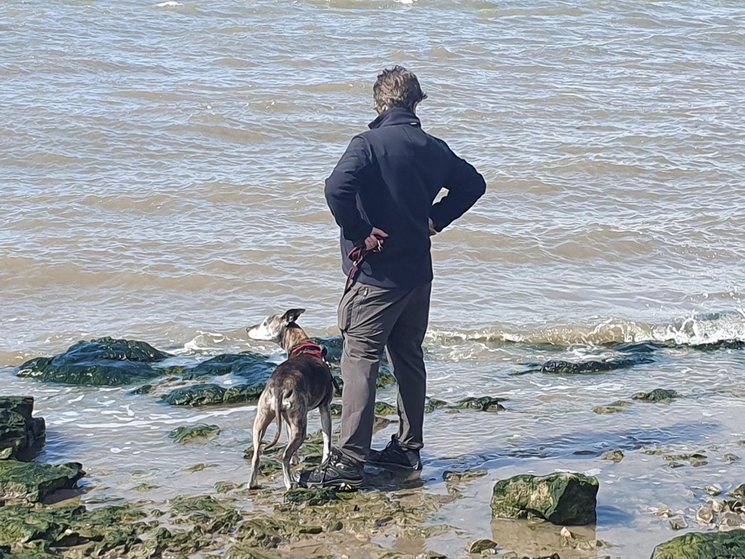 One man and his dog