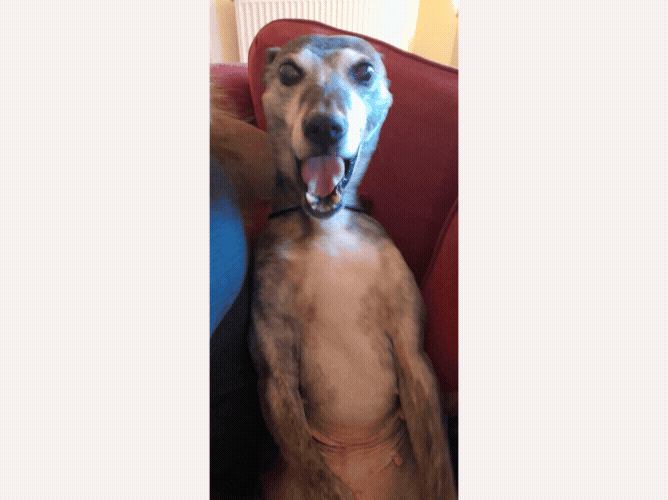 Duffy is shocked gif 2.gif