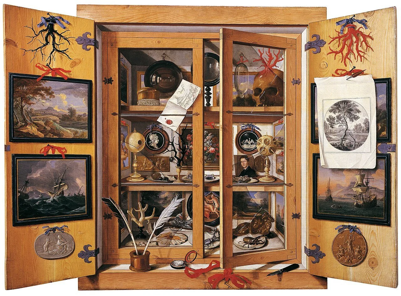 Our Cabinet of Curiosities* for summer 2026 is now officially open!