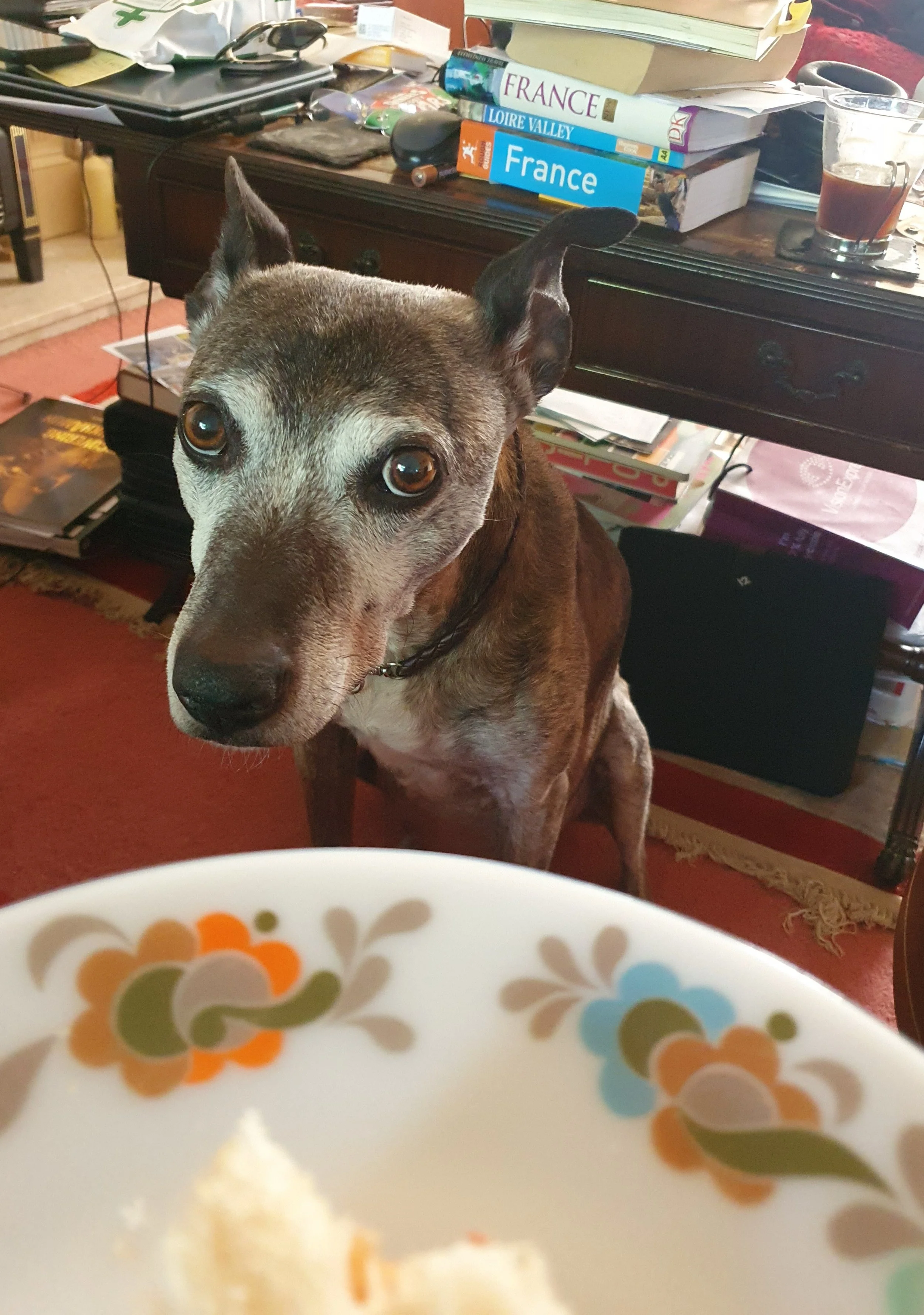 …but still determined to eat toast