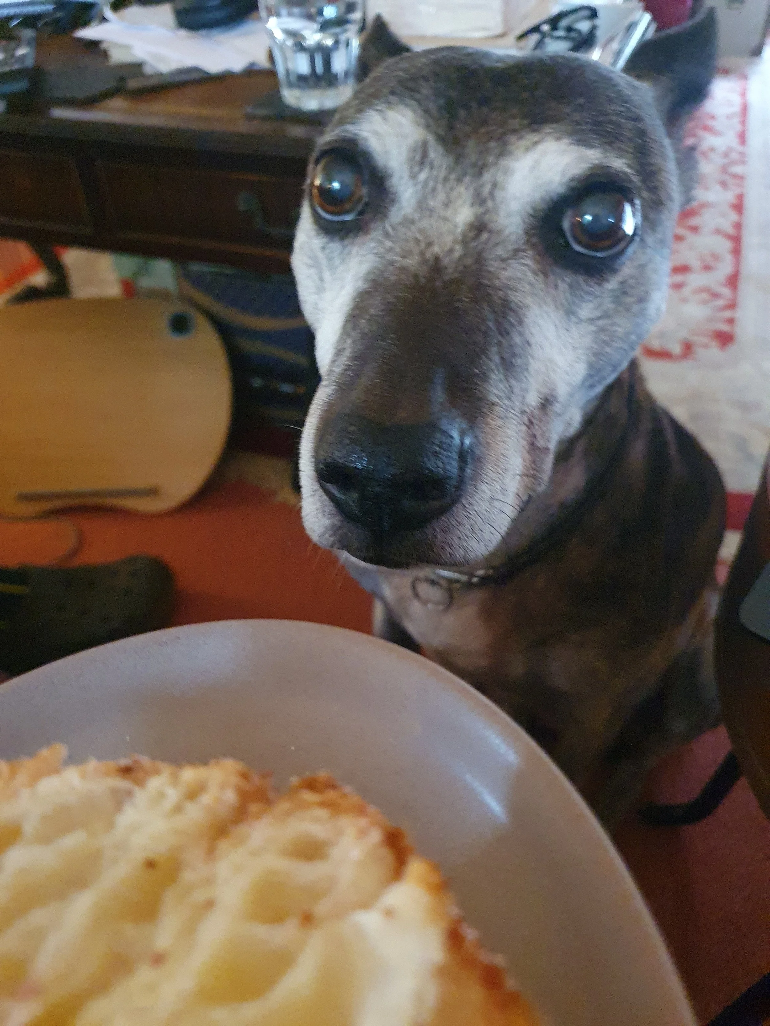 &amp; DESPERATE to eat croissant