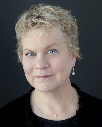 Holland Symphony Orchestra and Music from the New World