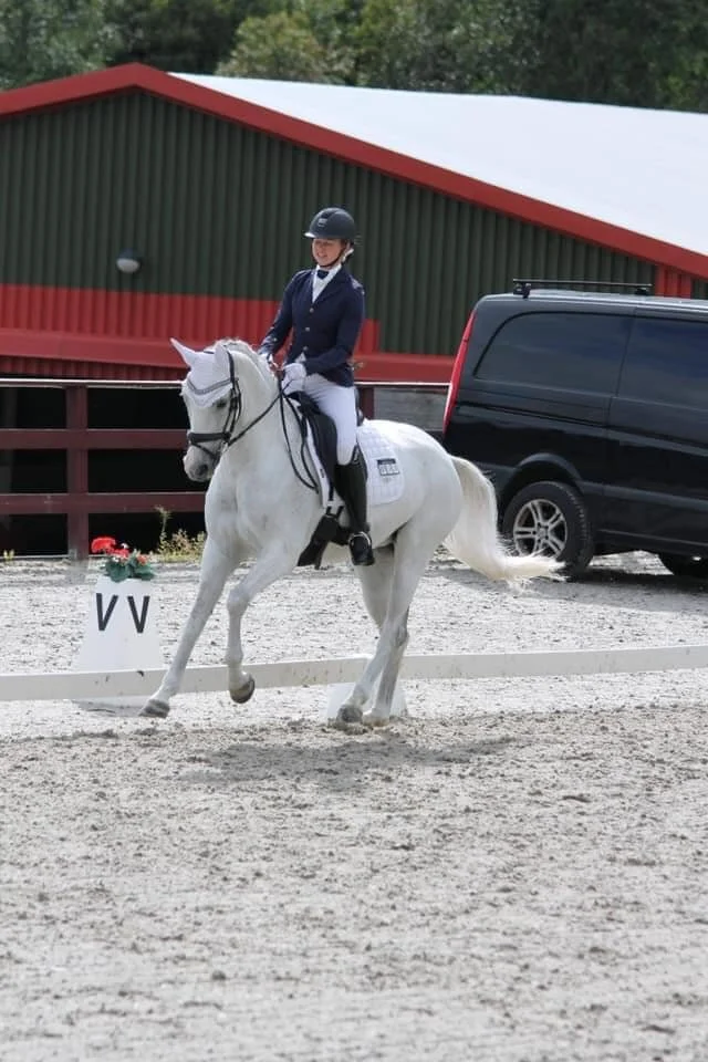 Dressurstevne på Moldegaard