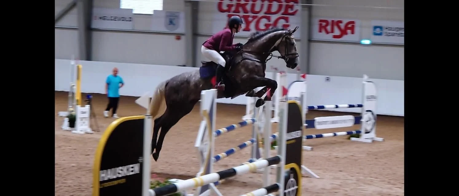 Dressur- og sprangstevner