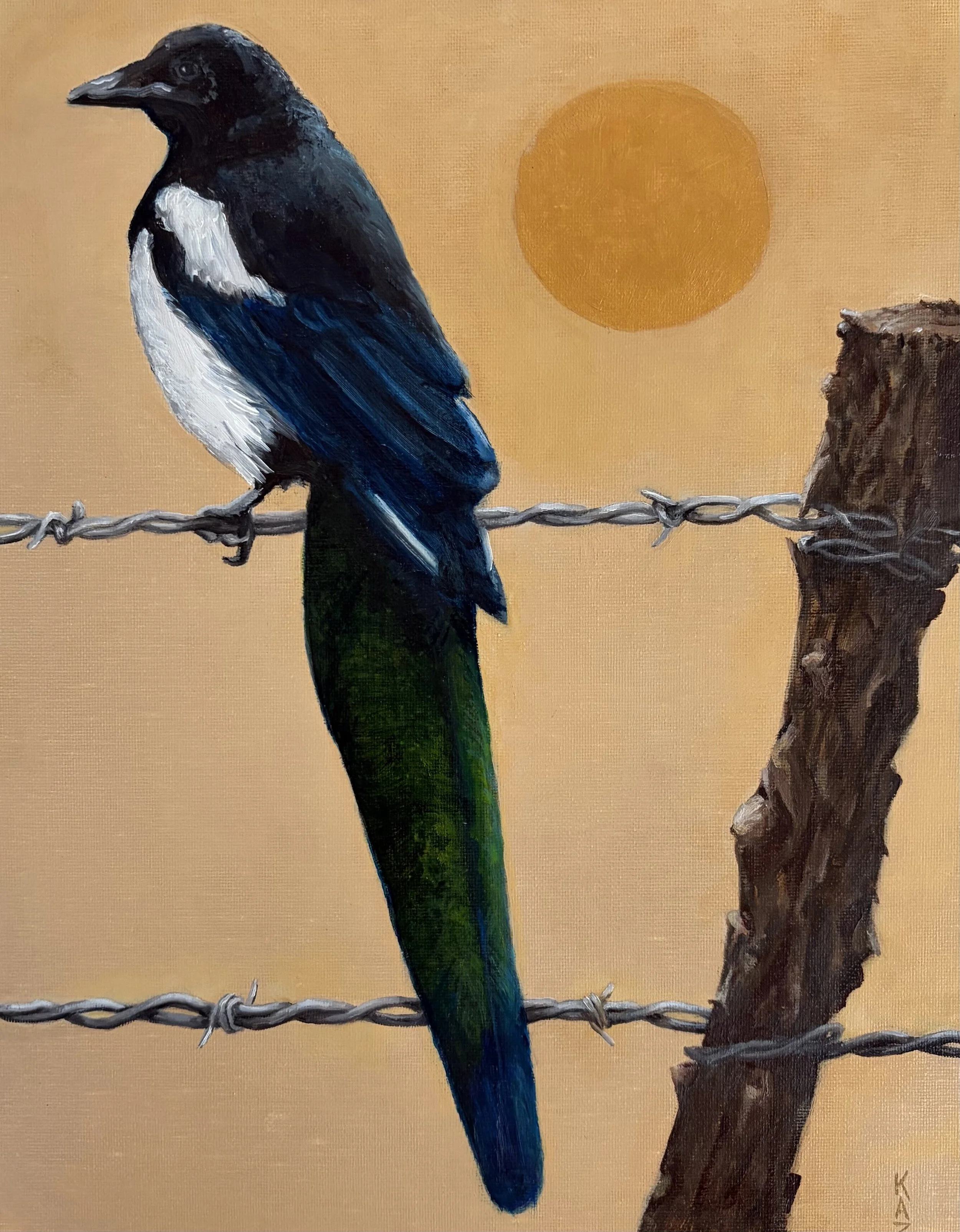 Magpie 2 pm - 14" x 11" - oil on canvas panel