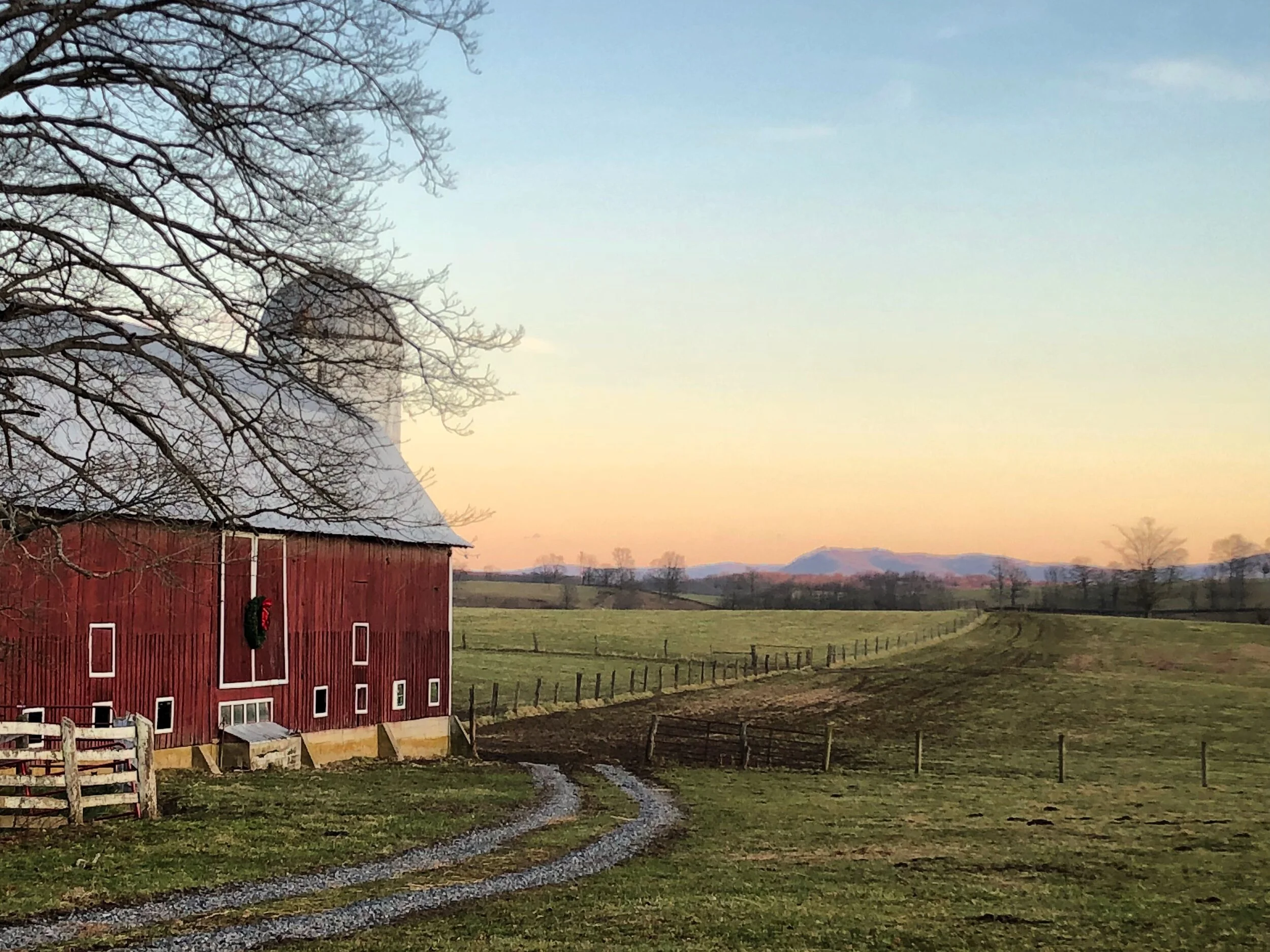 Mountain Steer Meat Co