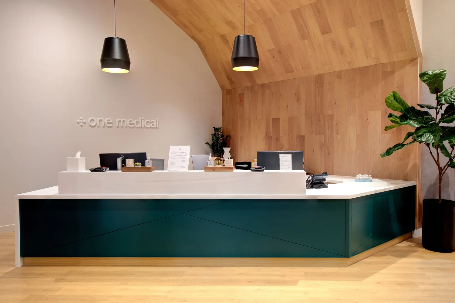 Reception: sculptural timber arch and green desk; refined material palette.