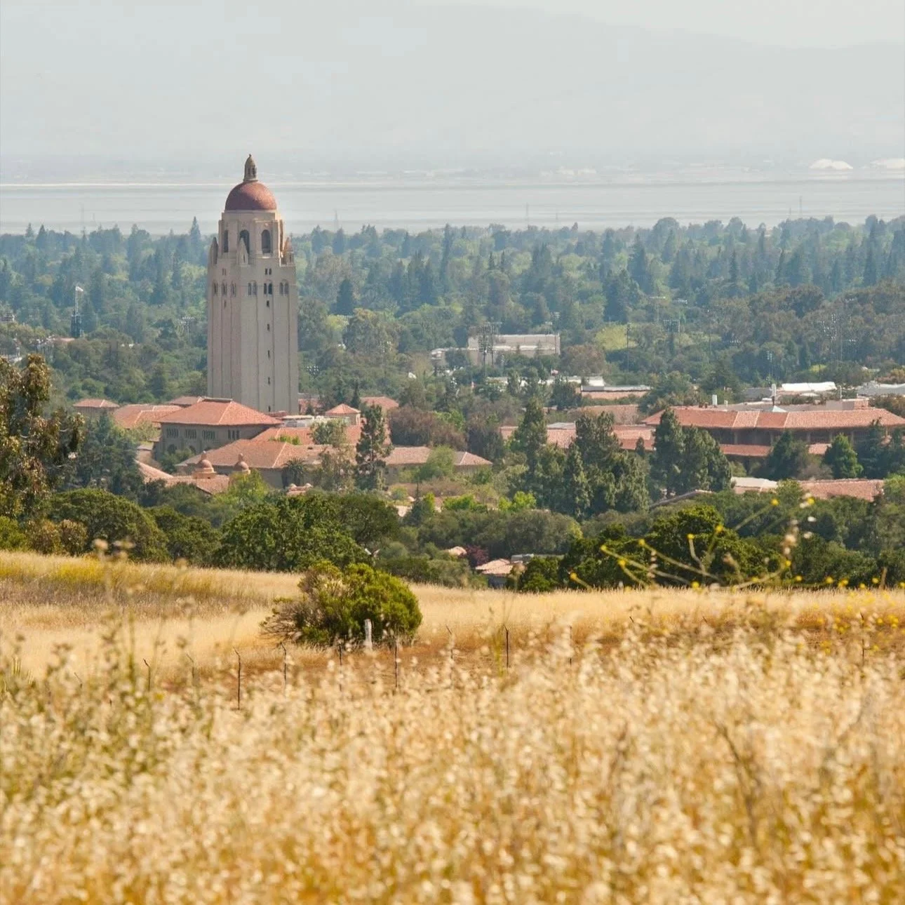 #FarmPhoto 🌲
📸: @gostanford