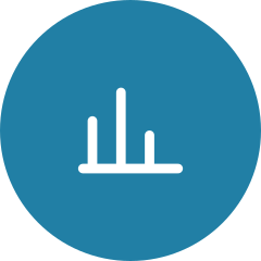 Bar chart icon for execution