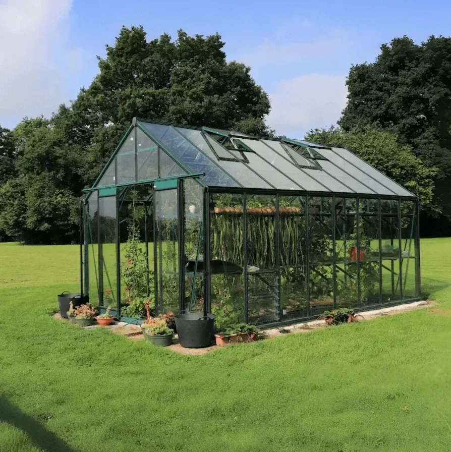 A greenhouse in a backyard with potted plants outside and trees in the background.