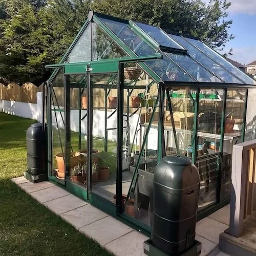 A small glass 8x8 ft greenhouse with a green metal frame on a paved area in a backyard, surrounded by a wooden fence and grass, with gardening supplies inside.