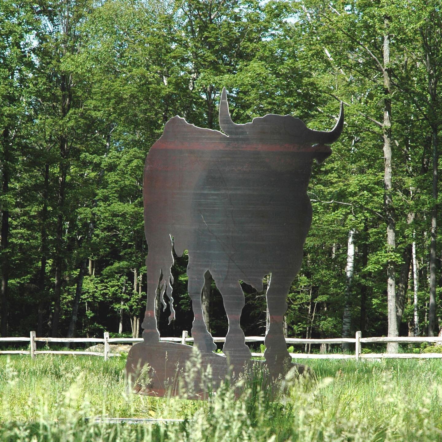 While away on business, a wife had a driveway sign made that said &ldquo;You better be able to cross this field in 8 seconds...the bull can do it in 10.&rdquo; Upon arriving home, the husband saw it and replied, &ldquo;Call Rubino, we need a BULL.&rd