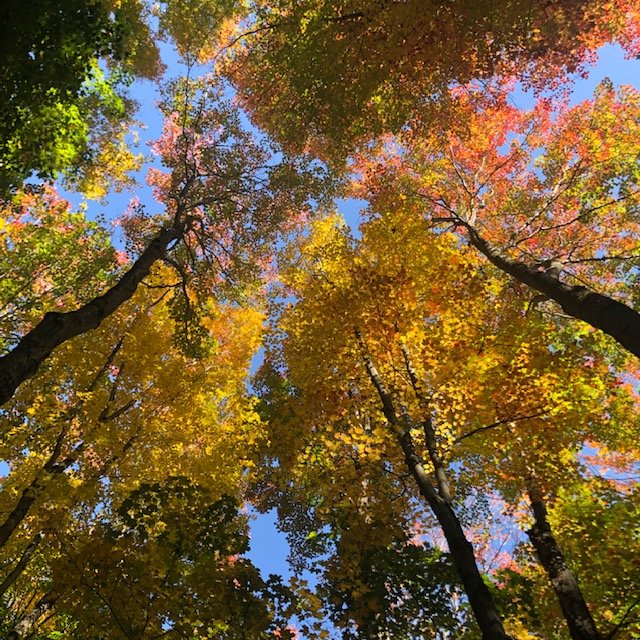Autumn Self-Care Tips