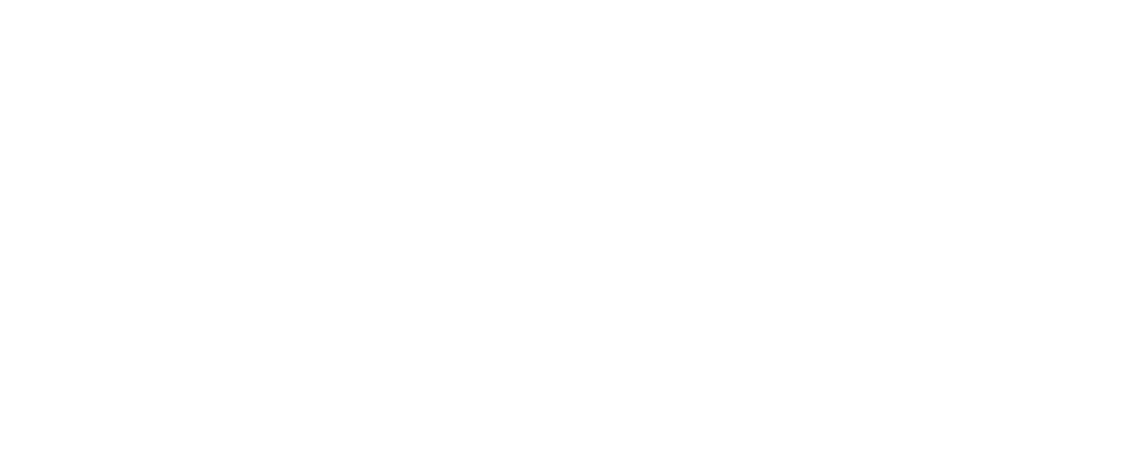 THE CHOCOLATE PROJECT