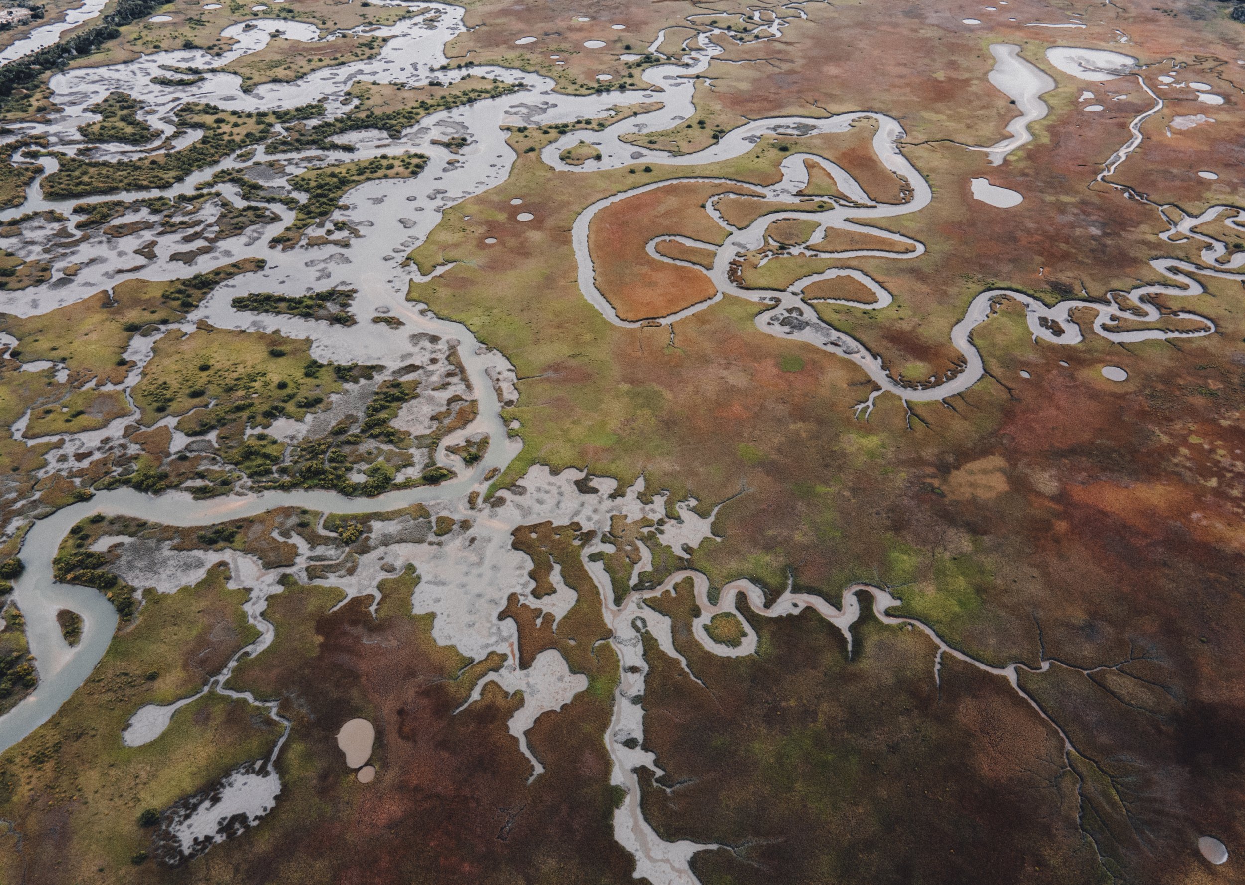  Florida has these crazy river systems you can only see from the sky. Another reason to have a drone.  