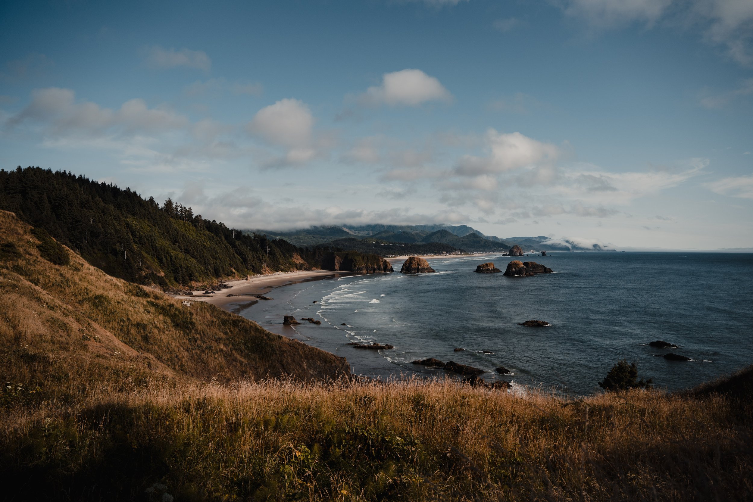 Oregon Coast - Sony -84.jpg