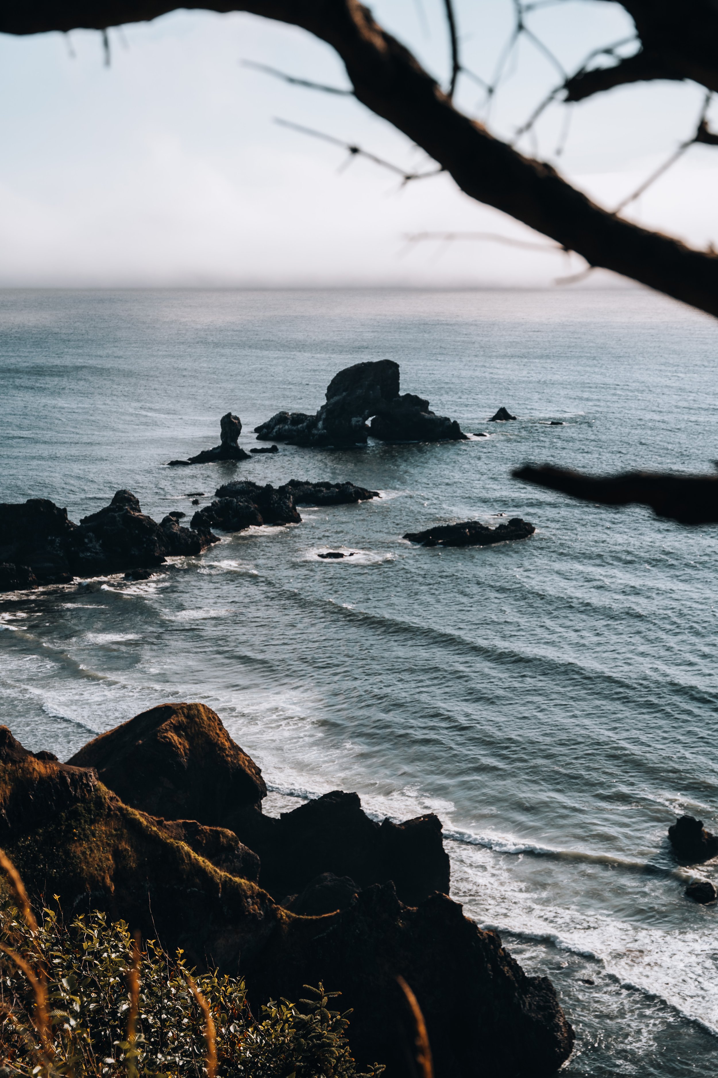 Oregon Coast - Sony -94.jpg