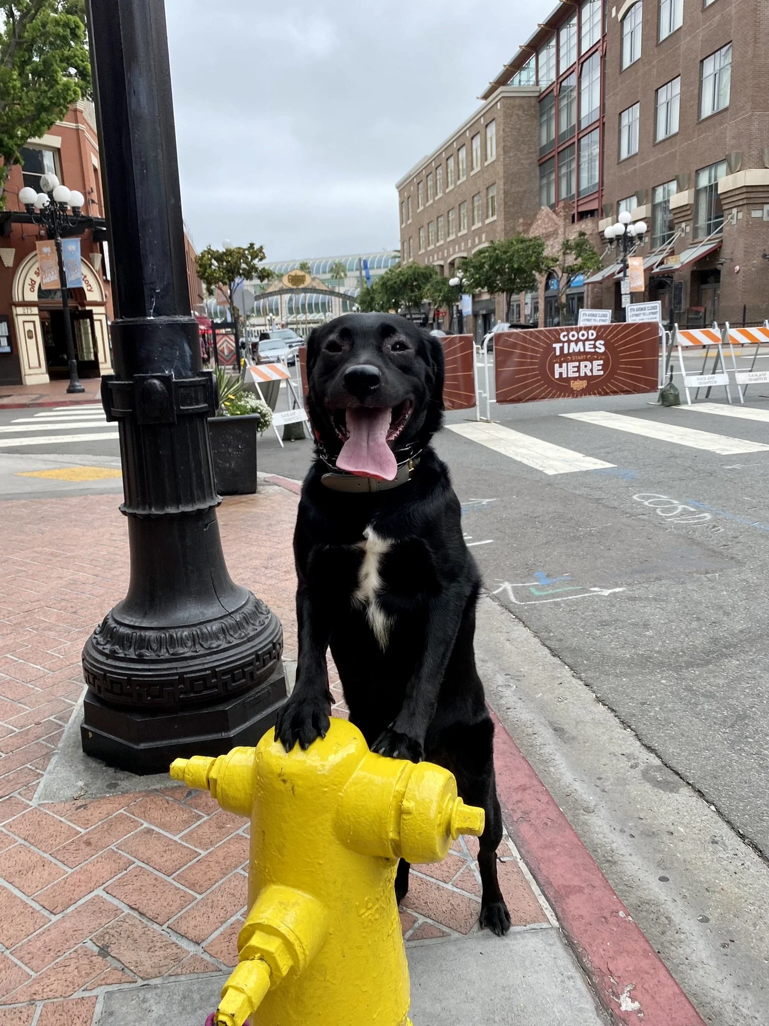 San Diego TOuch.jpeg