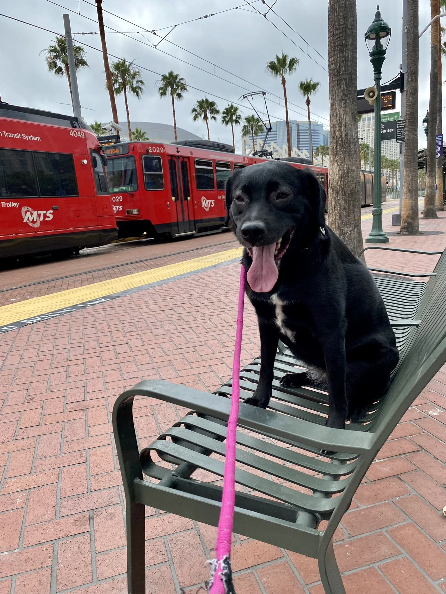 San Diego Trolley.jpeg