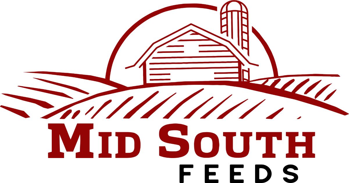 logo-white.png