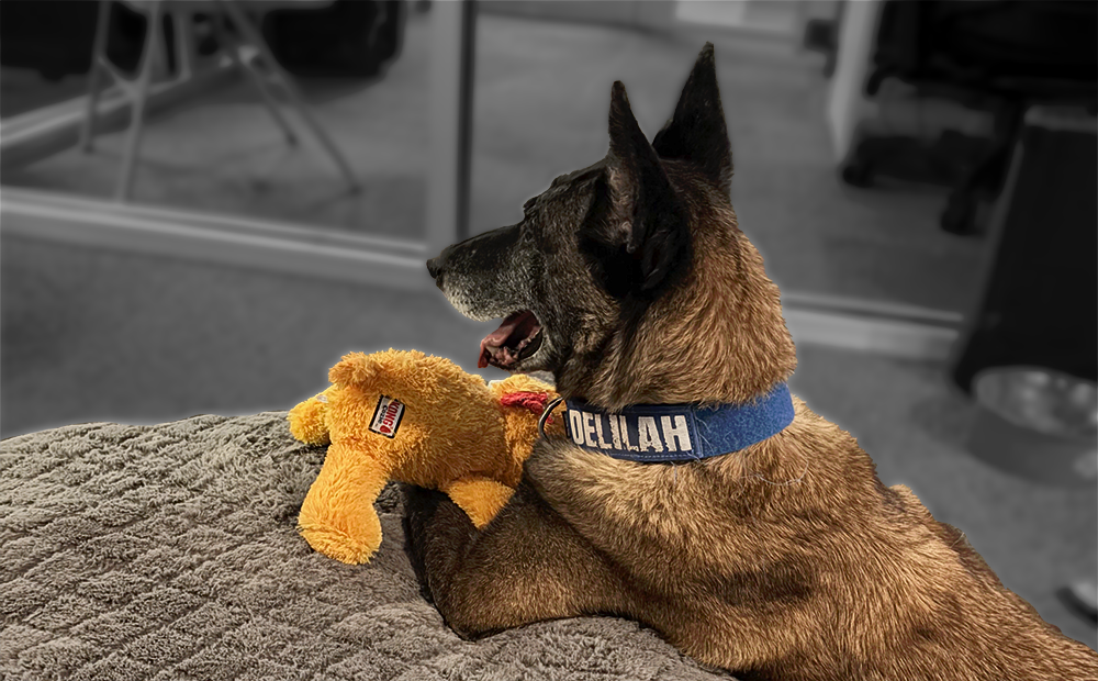 Delilah Today: An Update on a Very Special Girl