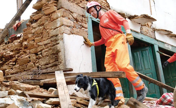 Dog Rescue-DFID-CC1