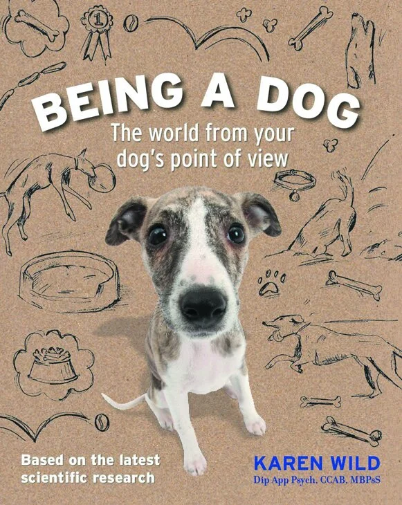 Big-Being-a-Dog.jpg