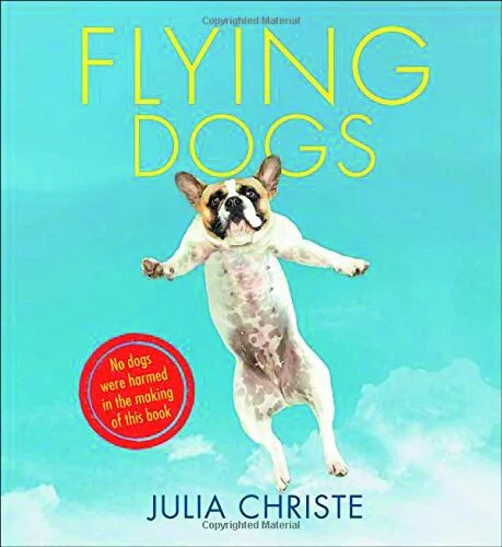 Web-Flying-Dogs.jpg