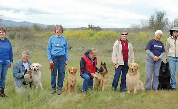 Tracking Dogs