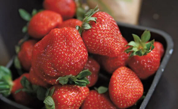 Strawberries-Quinn-Dombrowski-CC1.jpg