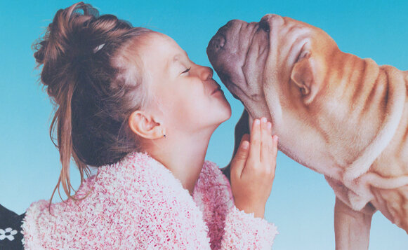 Dog-Holiday-Gift-Guide_8.jpg