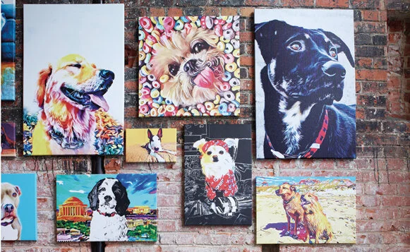 Pawty Petsy Gallery Wall