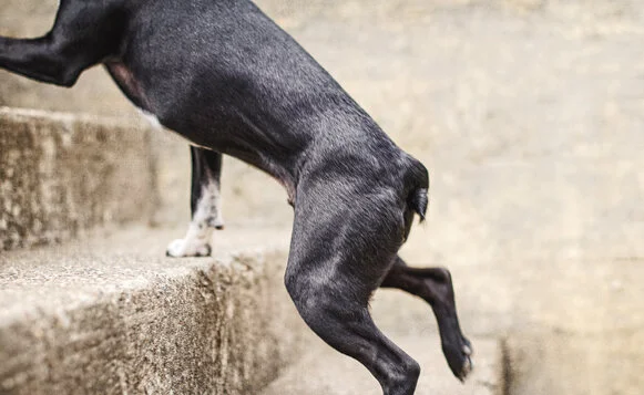 photo © Tonya Perme