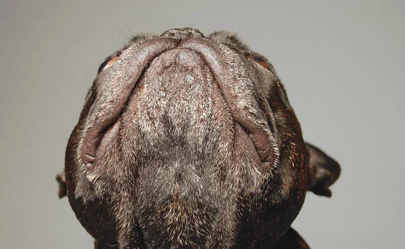 photo © Tonya Perme