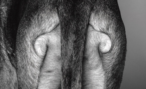 photo © Tonya Perme