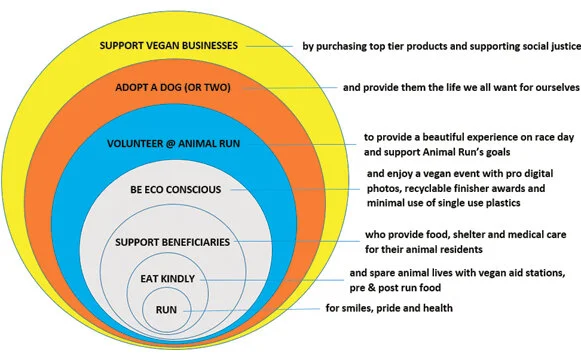 Dog-Run-Graphic.jpg