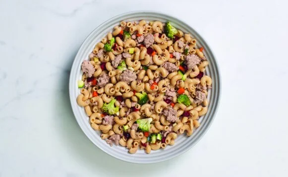 Just Food For Dogs-1
