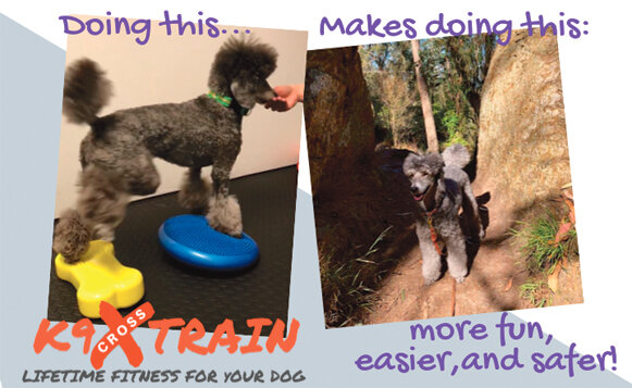 New Postcard Nickel