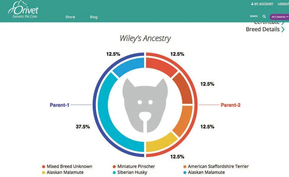 Screen shot 2020-01-22 at 11.55.24 AM