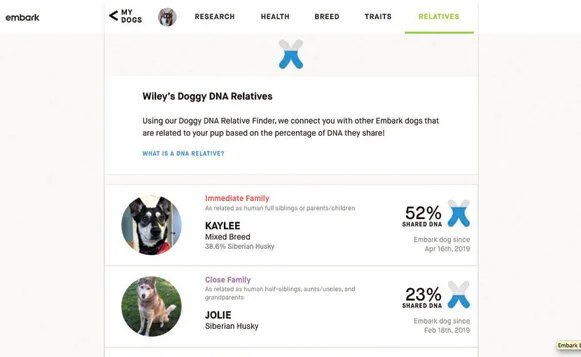 Screen shot 2020-01-22 at 11.55.55 AM