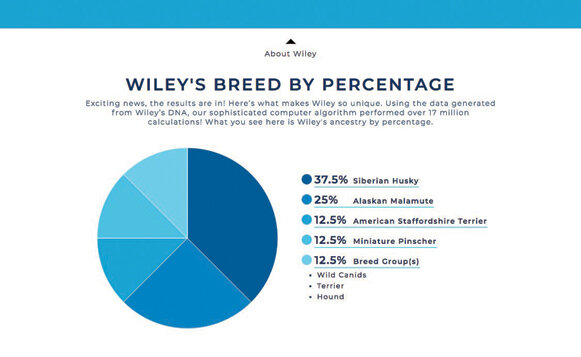 Screen shot 2020-01-22 at 11.56.15 AM