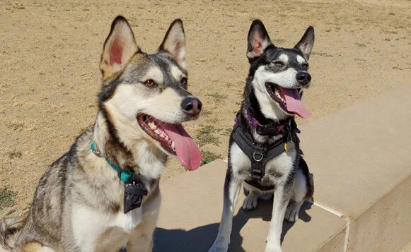 Wylie_4th Get Together-Shot by Kristen