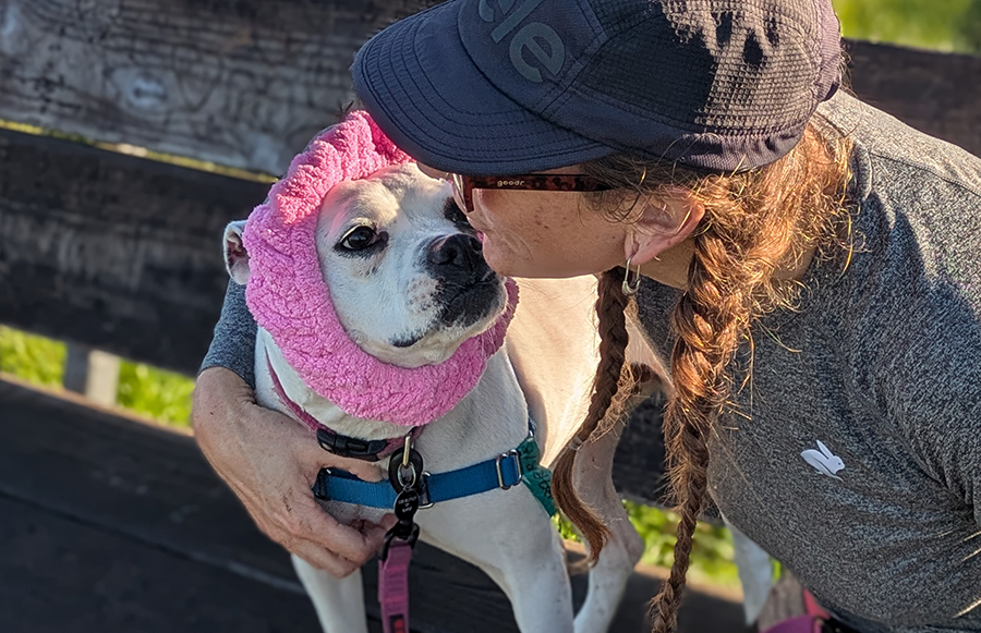 At Compassion Without Borders, Bingo Helps Shelter Dogs Find Homes